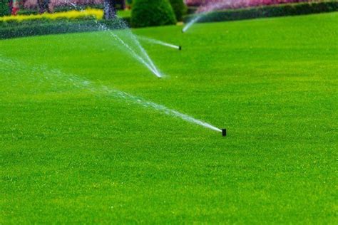 Lawn and garden watering tips. Best Way To Water Your Lawn Without A Sprinkler System (2021's Year Update)