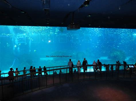 Alicesg Singaporemyhome My World Tuesday Sea Aquarium Resort World