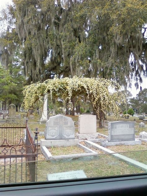 Catholic Cemetery In Savannah Georgia Find A Grave Cemetery