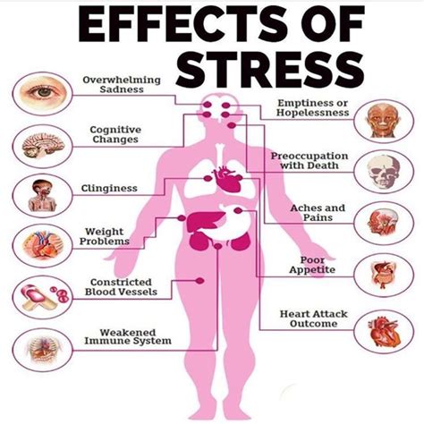 Stress 101 Perform Nutrition Usa