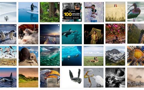 National Geographic Les Plus Belles Photos Du Concours Instagram
