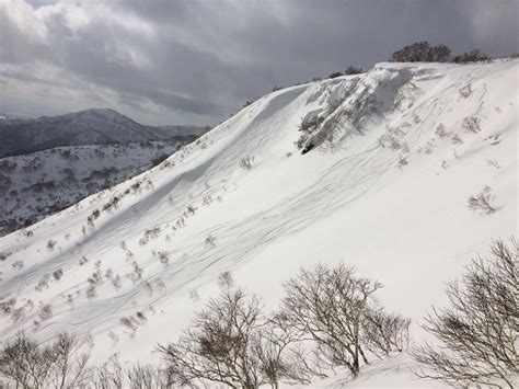 2 Day Cat Skiing At Shimamaki Hokkaido Backcountry Club