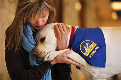 Service And Assistance Animals Disability Law Colorado