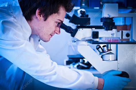 Scientist Using Microscope In Lab Stock Image F0188503 Science