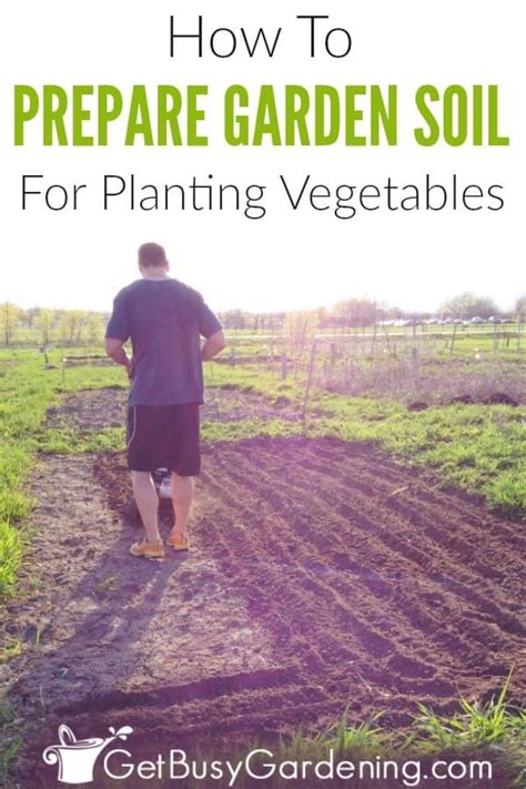 How to properly add soil to your garden beds to ensure optimal plant health. How To Prepare A Garden Bed For Planting Vegetables ...