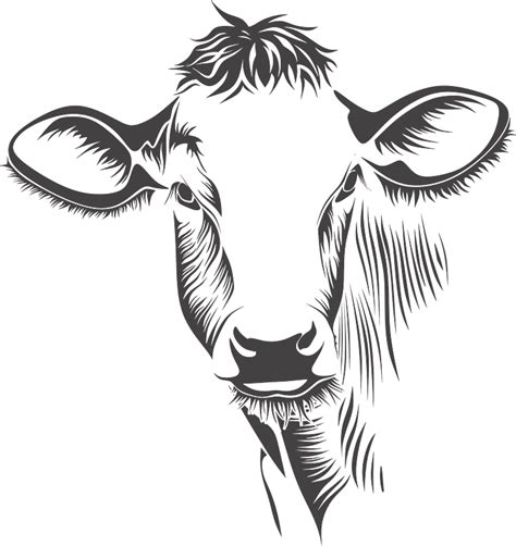 Cow Head Black And White Clipart Free Download Transparent Png