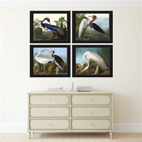 Bird Print Set Of 4 Beautiful Antique Audubon White Ibis Etsy