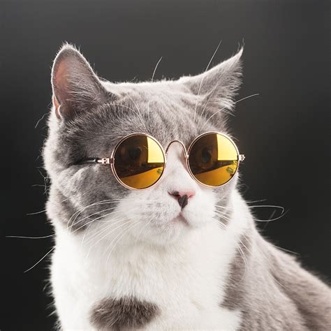 Fashion Glasses Small Pet Dogs Cat Glasses Sunglasses Eye