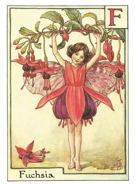 The Fuchsia Fairy By Cicely Mary Barker Flower Fairies Vintage Etsy