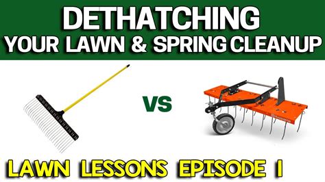 Dethatching as needed can contribute to a lush, healthy lawn. How to Dethatch your Lawn - Raking vs Power Dethatcher - Easy with Tips! Lawn Lessons #1 - YouTube