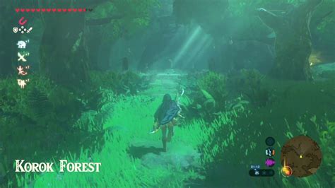 The Legend Of Zelda Breath Of The Wild How To Get Through The Lost
