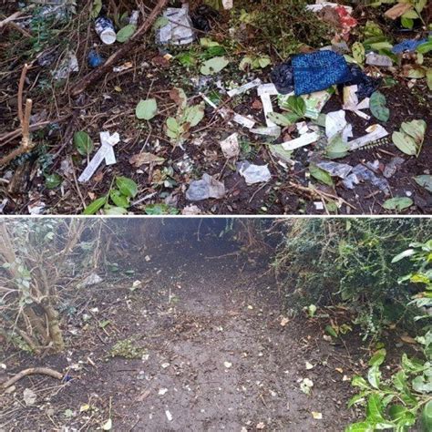 Litter Deep Clean Before And After Clear Choice