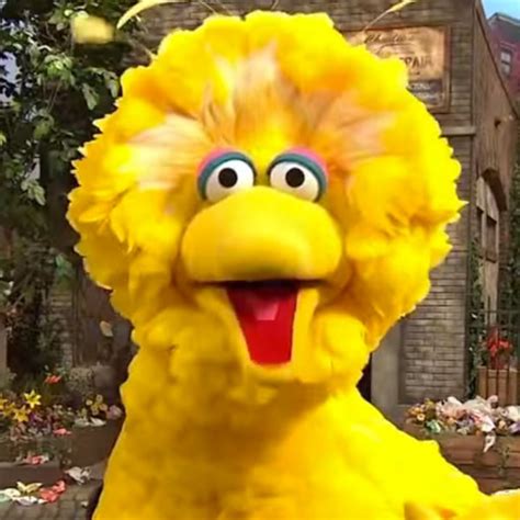 Big Bird Rapping Still Not A Player Is Everything
