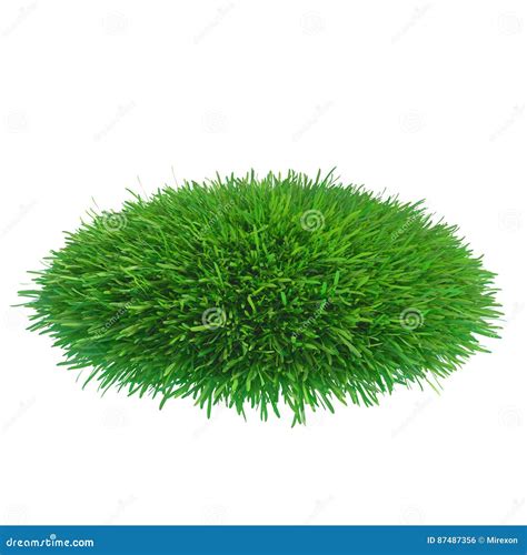 Green Grass Piece Isolated On White Background Stock Illustration