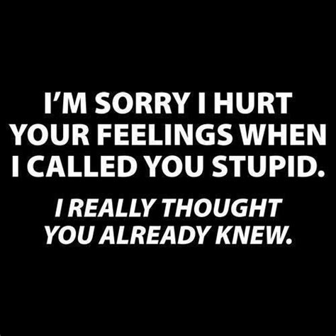 Funny Quotes About Hurt Feelings Quotesgram