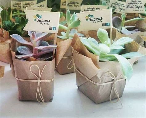 Mini Succulent Plants Wedding Favors