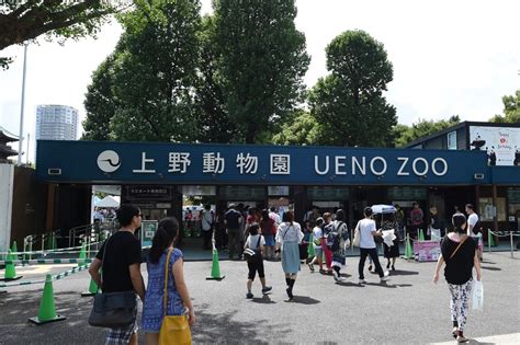 Ueno Zoo Facilities Ueno A Global Capital Of Culture