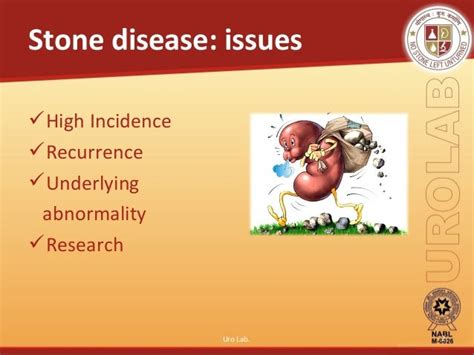 Urinary Stone Disease Metabolic Work Up And Its Significaance