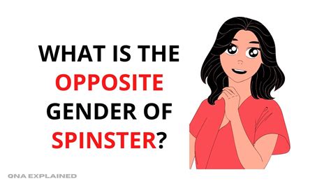 What Is The Opposite Gender Of Spinster Qna Explained Youtube