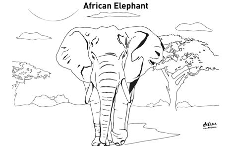 Whether for kids or adults, discover tons of coloring drawings at your favorite coloring website. FFN Animal Colouring Pages - Future For Nature