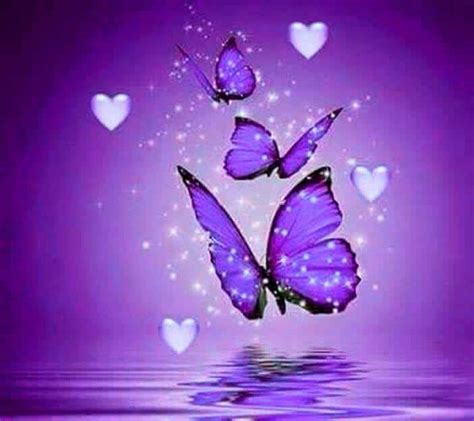 Purple Butterfly Wallpaper Aesthetic Purple Butterflies