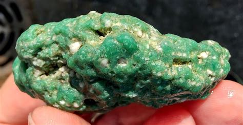 Rawk11 Lucin Variscite Botryoidal Nodule Rough Aka Utah Turquoise