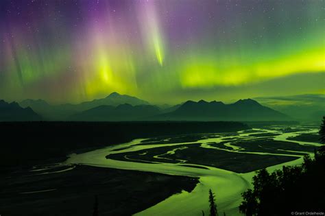Braided River Aurora Denali National Park Alaska Grant Ordelheide