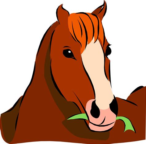 Free Horse Head Cartoon Download Free Horse Head Cartoon Png Images