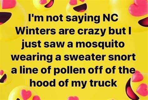 Pin By Amy Caulk On Weather Memes Weather Memes Sayings Pollen