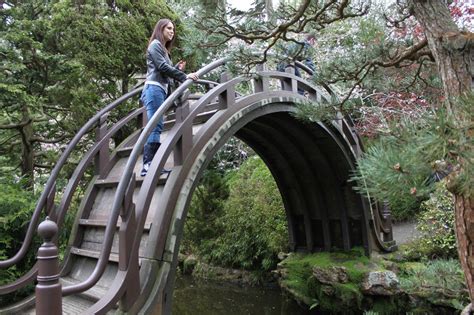 Crazy Japanese Bridge