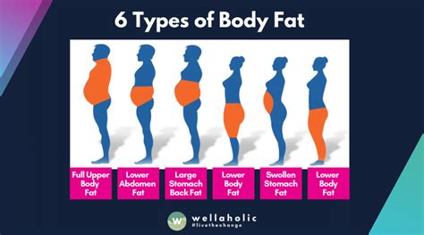 6 Types Of Body Fat And How You Can Remove Them