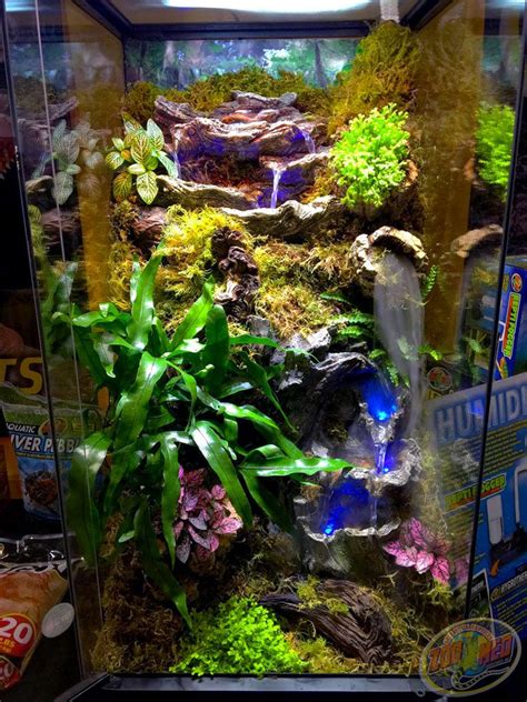 Terrariums Tree Frog Terrarium Snake Terrarium Gecko Vivarium Diy