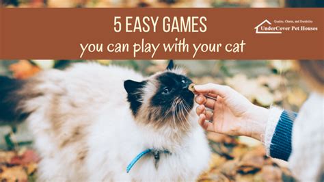 Games To Play With Your Cat On The Computer Cat Lovster