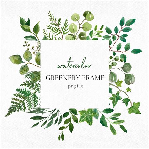 Watercolor Greenery Frame Clip Art Png Wreath Lush Green Etsy