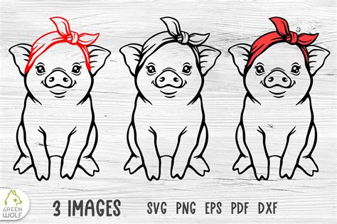 Pig Face Svg Pig Svg Cut Files Baby Farm Animals Svg Cricut Ec