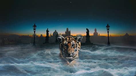 Wallpaper Tiger Cub Photoshop Clouds Night Tigers At Night