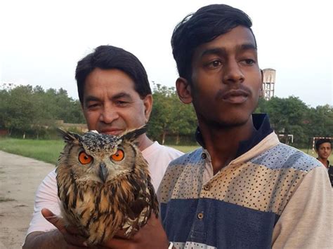 Wild Buzz Encore For An Owl Hindustan Times