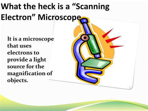 Ppt Hitachi S4700 Field Emission Microscope Powerpoint Presentation