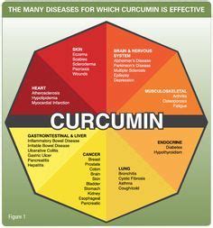 Curcumin The All In One Solution Terry Talks Nutrition Health