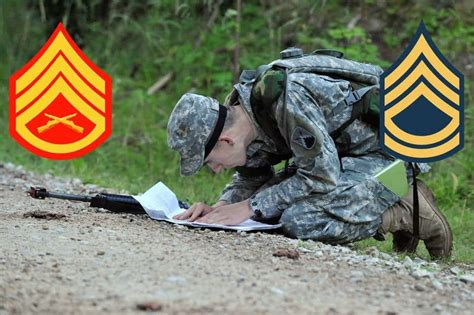 The Platoon Sergeants Guide To Dealing With Lieutenants Military