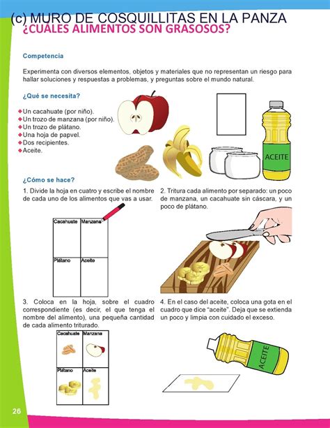 Proyecto Experiência Científica Ciencias Educação Infantil