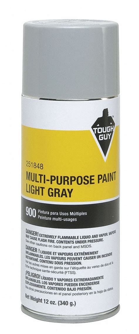 Tough Guy Spray Paint In Gloss Light Gray For Masonry Metal Wood 12