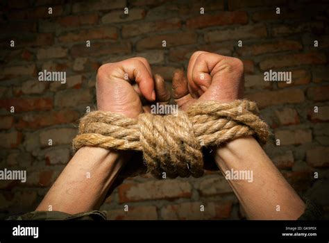 Hands Of Woman Tied Up With Rope Hi Res Stock Photography And Images