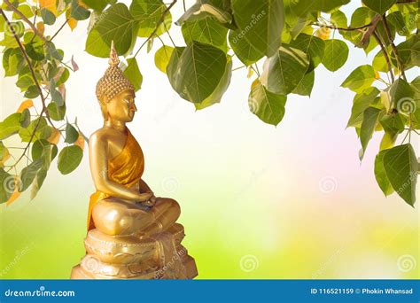 Buddha Under Bodhi Leaf On Nature Background Sacred Tree For Bu Stock