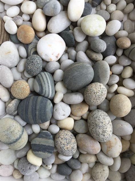 Maine Beach Stones 50 Mixed And Rounded Rocks From Maine 12 Etsy