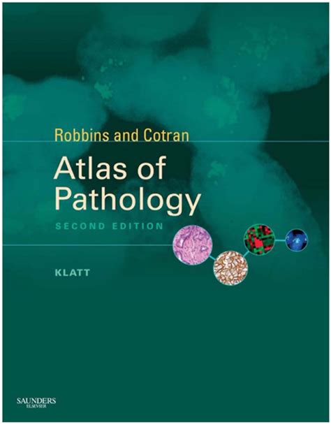 Pathological Anatomy