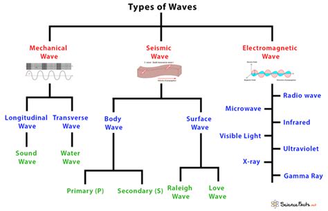 Types Of Waves Characteristics And Examples