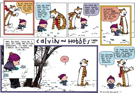 Calvin And Hobbes By Bill Watterson For January 09 1994