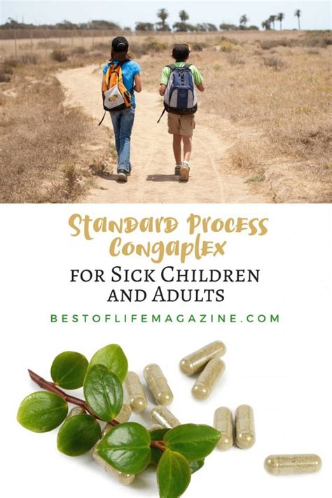 Standard Process Congaplex For Sick Children And Adults Best Of Life