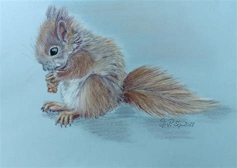 Pastel Chalk Painting Squirrel With Walnut Find Original Available As